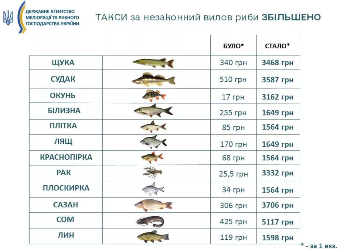 Заборона на вилов риби весною: що потрібно знати